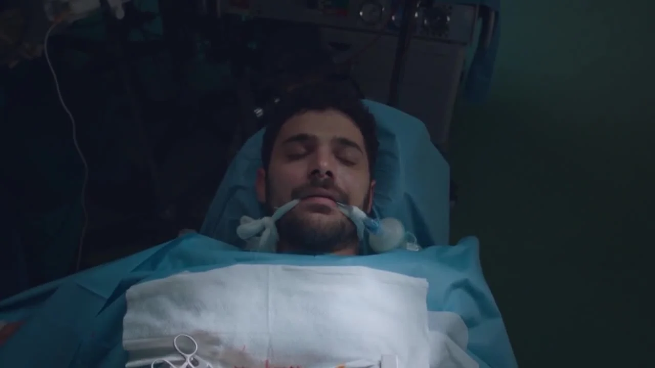 Кадры из сериала Дикий (2023)